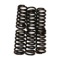 Ebc Clutch Spring Set CSK6 Honda CRF150 Kawasaki KDX250 Suzuki GS550 GS1000