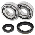 Suzuki RM250, 1989-1993, Crankshaft Bearings & Seal Kit - Crank Shaft - RM 250