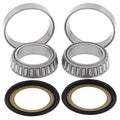 Kawasaki Vulcan 2000, 2004-2010, Steering Bearing Kit - VN1600
