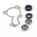 Kawasaki Klx 450, 2008-2013, Water Pump Repair Kit - Seals/Bearings