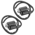 2 Ignition Coils for Suzuki V-Strom 1000 DL1000A 2014-2019 / 33410-17G01