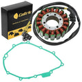 Stator & Gasket for Honda CBR1100XX Cbr 1100Xx 1999-2003