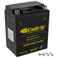 Agm Battery for Triumph Sprint Carbs 1993 1994 1995 1996 1997 1998