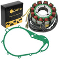 Stator & Gasket for Suzuki Gs850G Gs 850G 1979 Generator 12-Pole