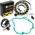 Stator & Pickup Coil & Gasket for Yamaha XV750 XV-750 Virago 750 1991-1997
