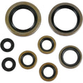 Moose Racing Engine Oil Seal Kit (0935-0045)