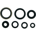 Moose Racing Engine Oil Seal Kit (M822124)