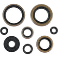 Moose Racing Engine Oil Seal Kit (0935-0060)