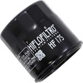 Hiflofiltro Premium Oil Filter | HF175