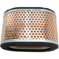 Hiflofiltro Replacement Air Filter | HFA6503