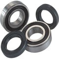 Moose Racing Wheel Bearing Kit - Double Lip | 25-1009