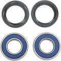 Moose Racing Wheel Bearing Kit - Double Lip | 25-1063