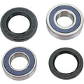 Moose Racing Wheel Bearing Kit - Double Lip | 25-1252