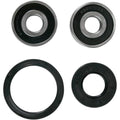 Pivot Works Wheel Bearing and Seal Kit - Double Seal - Front | PWFWS-Y04-000