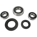 Pivot Works Wheel Bearing and Seal Kit - Double Seal - Rear | PWRWS-S14-000
