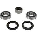 Pivot Works Wheel Bearing and Seal Kit - Double Seal - Rear | PWRWS-Y16-000