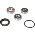 Pivot Works Wheel Bearing and Seal Kit - Double Seal - Rear | PWRWK-Y28-001