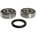 Pivot Works Wheel Bearing - Front - Double Seal | PWFWS-V01-000