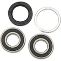 Pivot Works Wheel Bearing and Seal Kit - Double Seal - Rear | PWRWK-H01-521