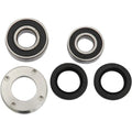 Pivot Works Wheel Bearing and Seal Kit - Double Seal - Rear | PWRWK-H12-026