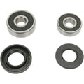 Pivot Works Wheel Bearing and Seal Kit - Double Seal - Rear | PWRWK-K08-008