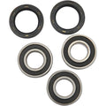 Pivot Works Wheel Bearing and Seal Kit - Double Seal - Rear | PWRWK-S09-021