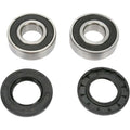 Pivot Works Wheel Bearing and Seal Kit - Double Seal - Rear | PWRWK-S07-001