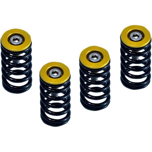 Barnett Clutch Springs - Gold - Ducati | 519-25-06090