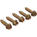 Gold Screws Ice Screws - Gold - 1" - 1000 Pack | 1250-0062