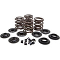 Kibblewhite Valve Spring Kit | 20-20450