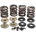 Kibblewhite Valve Spring Kit | 20-21100