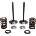 Kibblewhite Spring Kit - Stainless Steel | 30-31230