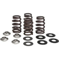 Kibblewhite Beehive Valve Spring Kit | 96-96500
