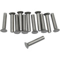 Eastern Motorcycle Parts Ratchet Plate Rivets | A-8215