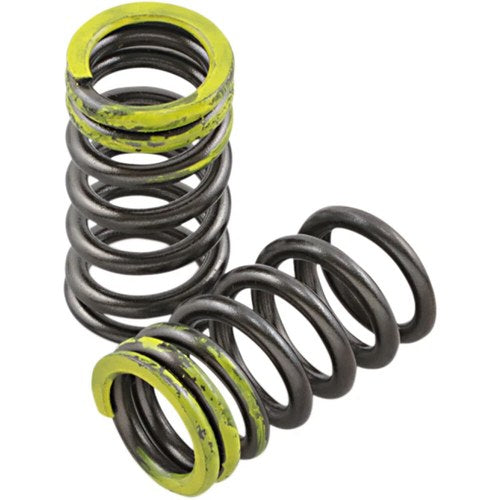Xceldyne Intake Valve Springs | PSIMX2104