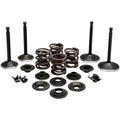 Kibblewhite Complete Valve Kit | 20-22350