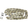 Regina 420 RH2 Series - Chain - 110 Links | 124RH2/008