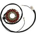 Rick's Motorsport Stator - Kawasaki | 21-228