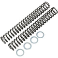 Race Tech Fork Springs - 1.00 kg/mm | Frsp S3627100