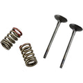 Prox Valve and Spring Kit | 28.SES4335-1