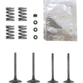Wiseco Valve Kit | SVKB3408