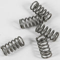Ebc Csk Clutch Spring Kit | CSK116