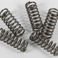 Ebc Csk Clutch Spring Kit | CSK156