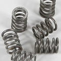 Ebc Csk Clutch Spring Kit | CSK71