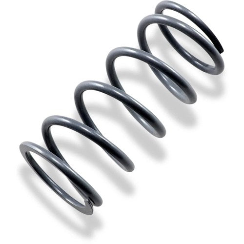 Epi Primary Drive Clutch Spring, Silver | PS-6