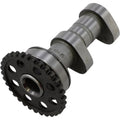 Hot Cams Stage 2 Intake Camshaft | 4165-2IN