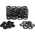 Kibblewhite Beehive Valve Spring Kit | 30-33800