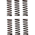Pro Circuit Clutch Springs Pro Circuit | CSH21450-CS