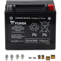 Yuasa Factory-Activated Maintenance-Free Agm Battery (YTX20L) YUAM420BS