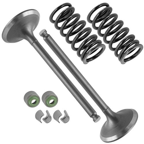 2x Intake Valve Kit for Yamaha WR450F 2007 2008 2009 2011-2015 / 5TA-12112-00-00